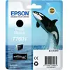 Image de Epson T7601 BK cartouche d'encre noir d'origine - C13T76014010