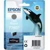 Image de Epson T7607 cartouche d'encre noir clair d'origine - 1000 Pages - C13T76074010