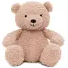 Image de Peluche teddy bear - wild rose