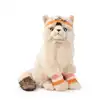Image de Btc - dolly le ragdoll - 32 cm