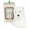 Image de Bt chaps timothy le terrier ecossais en boite cadeau 17cm