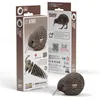 Image de Kiwi   eugy 3d
