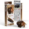 Image de Bison   eugy 3d