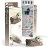 Image de Loutre de mer   eugy 3d