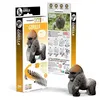 Image de Gorille   eugy 3d
