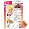 Image de Chats pumpkin   eugy 3d