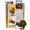 Image de Kiwi   eugy 3d