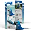 Image de Ara de spix   eugy 3d