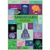 Image de Minuscules