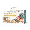 Image de Apprends à jouer du xylophone