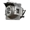 Image de Lamp for DX809ST/MX825STH - 5J.JMM05.001
