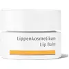 Image de Baume à lèvres du Dr. Hauschka (4,5 ml)