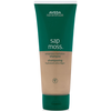 Image de Shampooing hydratant ultra-léger à la mousse de sapin d'Aveda 200 ml