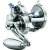Image de Moulinet Daiwa Saltiga 2019 Ld 50 2 Spd Argenté TU SG19LD502SPD