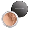 Image de MINERAL VEIL #tinted