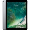 Image de Apple iPad Pro 4G LTE 64 Go 32,8 cm (12.9 ) Wi-Fi 5 (802.11ac) iOS 10 Gris - Bon état en occasion ou reconditionné