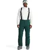 Image de Pantalon de ski Spyder Dare Vert S 38SA125314-CPG