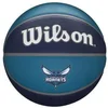 Image de Ballon NBA Tribute Charlotte Hornets Bleu Taille 7 WTB13XBCA
