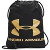 Image de Sac à dos Under Armour Ozsee Noir TU 1240539-010