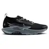 Image de Nike Pegasus Trail 5 GTX Chaussure trail Hommes - noir, gris, Taille 46
