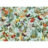 Image de Fruit and Flutterbies 1000 Pièces Cobble Hill