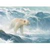 Image de Pièces XXL - Salmon Watch - Spirit Bear 500 Pièces Cobble Hill