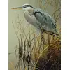Image de Pièces XXL - Great Blue Heron 500 Pièces Cobble Hill