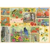 Image de Oiseaux de Jardin en Automne 500 Pièces Cobble Hill