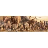 Image de Haruo Takino - Dinosaures 1000 Pièces Eurographics
