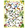 Image de Papillons 1000 Pièces Eurographics