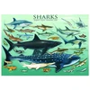 Image de Requins 1000 Pièces Eurographics