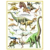 Image de Dinosaures du Jurassique 1000 Pièces Eurographics