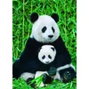 Image de Panda et son petit 1000 Pièces Eurographics