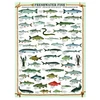 Image de Poissons d'eau douce 1000 Pièces Eurographics