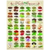 Image de Herbes et Épices 1000 Pièces Eurographics