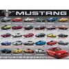 Image de Ford Mustang Evolution 1000 Pièces Eurographics