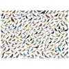 Image de Le Monde des Oiseaux 1000 Pièces Eurographics