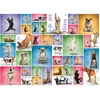Image de Yoga Dogs 1000 Pièces Eurographics