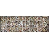 Image de The Sistine Chapel Ceiling by Michelangelo 1000 Pièces Eurographics