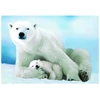 Image de Ours polaire et son petit 1000 Pièces Eurographics