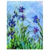 Image de Iris bleue 1000 Pièces Eurographics