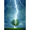 Image de Point d'impact d'éclair sur l'arbre 1000 Pièces Eurographics