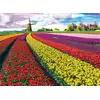 Image de Champ de Tulipes aux Pays-Bas 1000 Pièces Eurographics