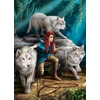Image de Anne Stokes - The Power of Three 1000 Pièces Eurographics