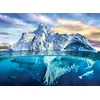 Image de Save our Panet Collection - Arctique 1000 Pièces Eurographics