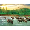 Image de Save our Planet Collection - Forêt Tropicale 1000 Pièces Eurographics