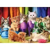 Image de Chatons 1000 Pièces Eurographics