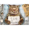Image de Pièces XXL - Felon Félin 500 Pièces Eurographics