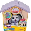 Image de Set De Jeu Peluche Et Niche. Révélation Surprise Multicolore