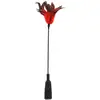 Image de Cravache et Plumeau Feather Slapper